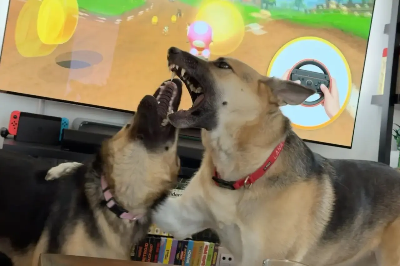 Lana barking with mouth wide while Potato looks on, a Mario Kart game running on the TV behind them.